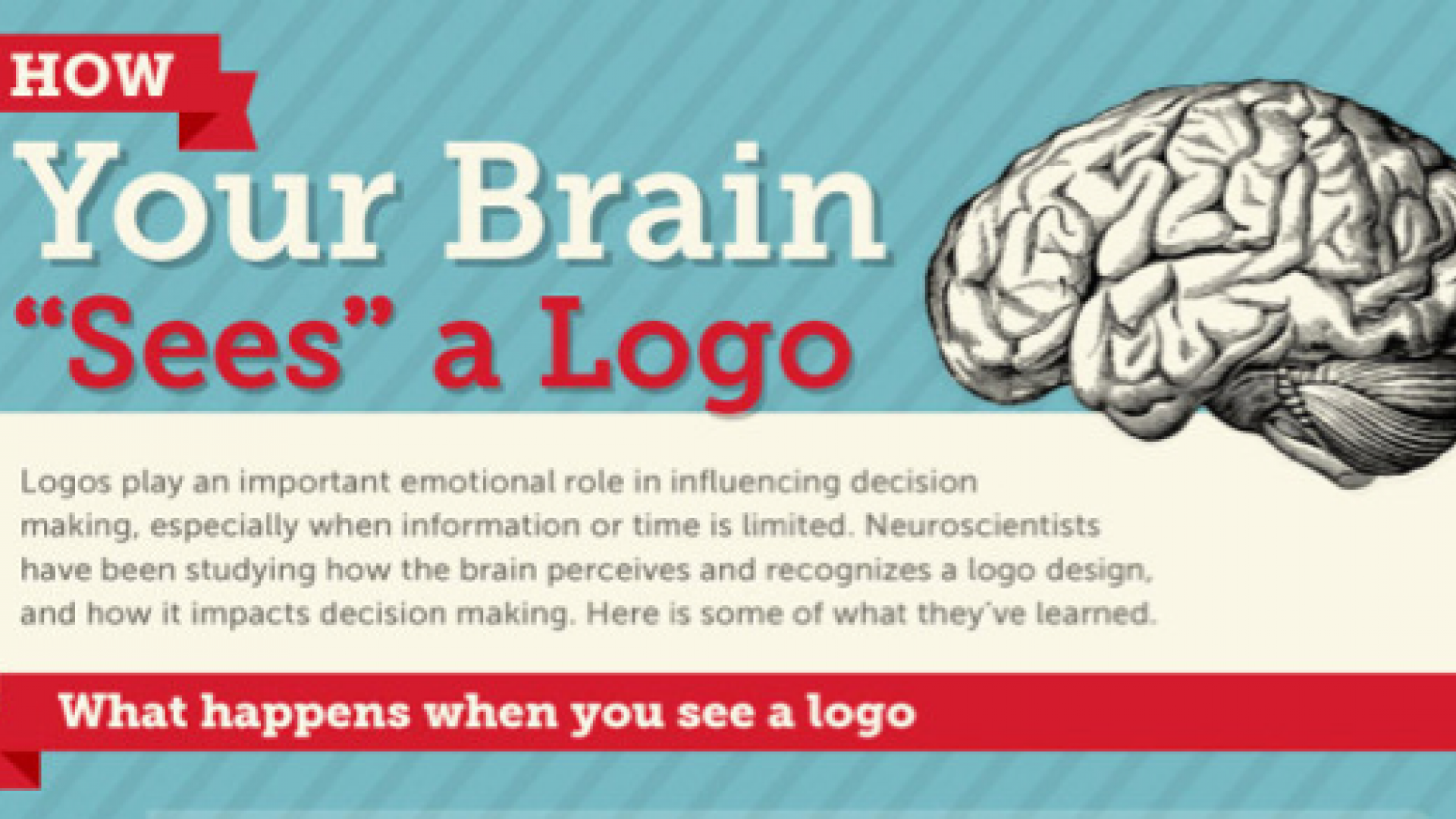 Brain sees logos v3