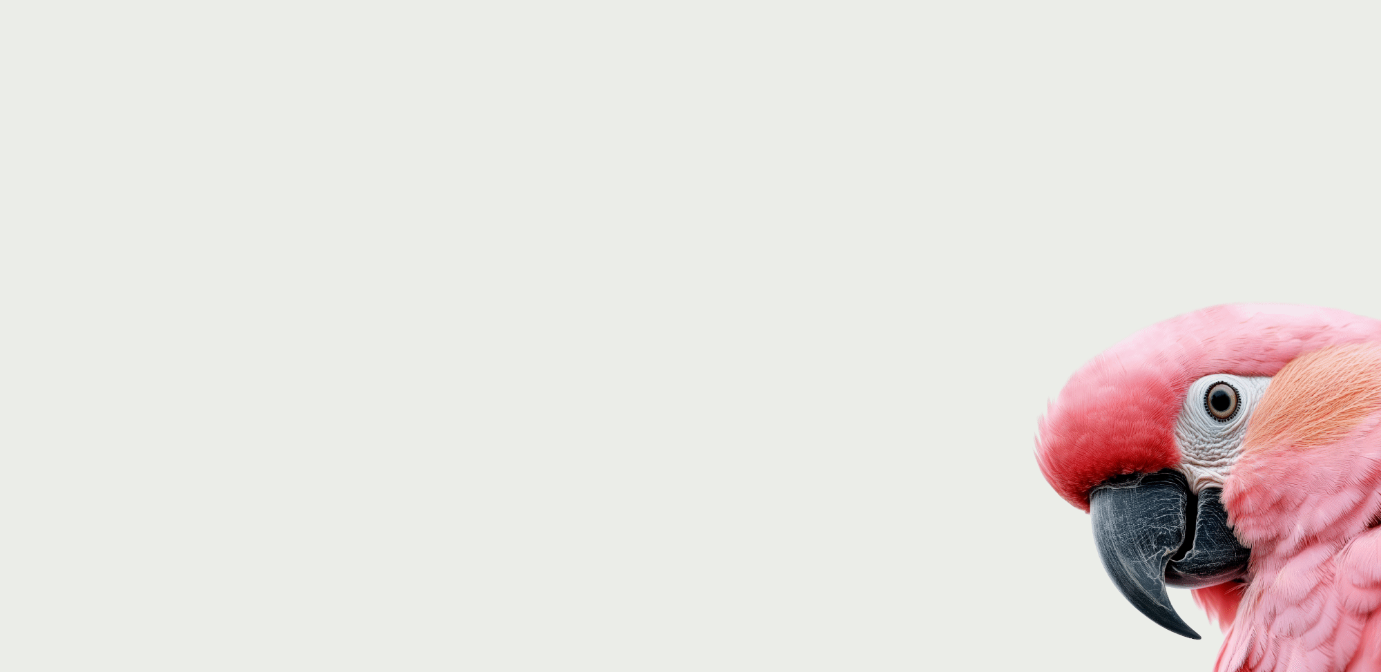 Webpage footer iteration 1