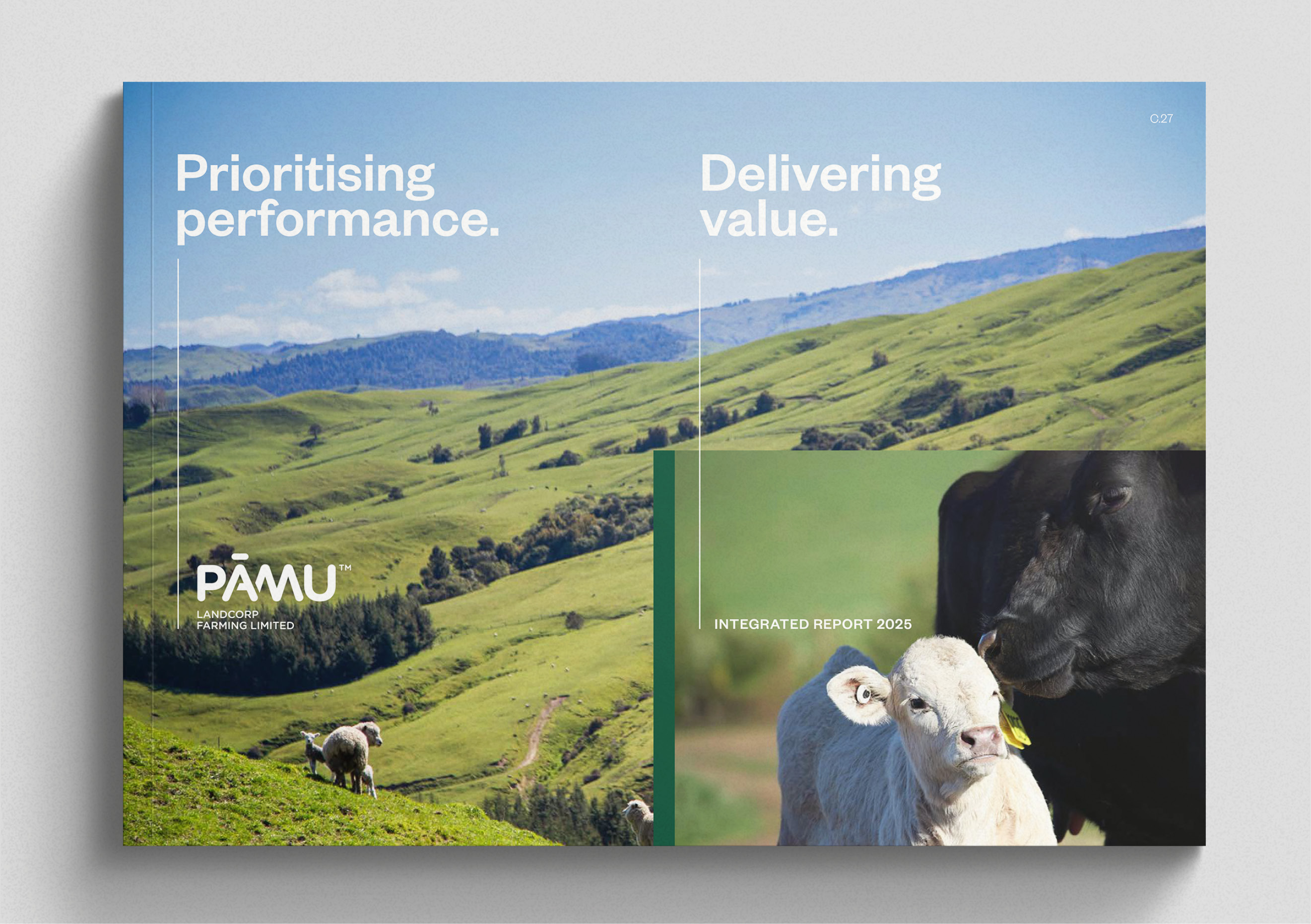 Pāmu IR2025 case study v1 1